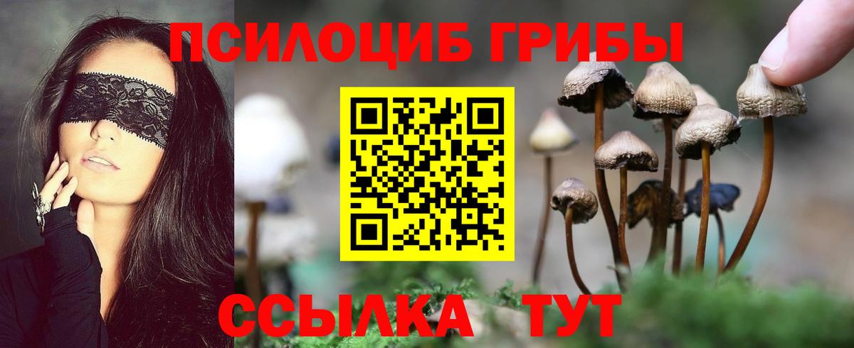 Галлюциногенные грибы мицелий Искитим