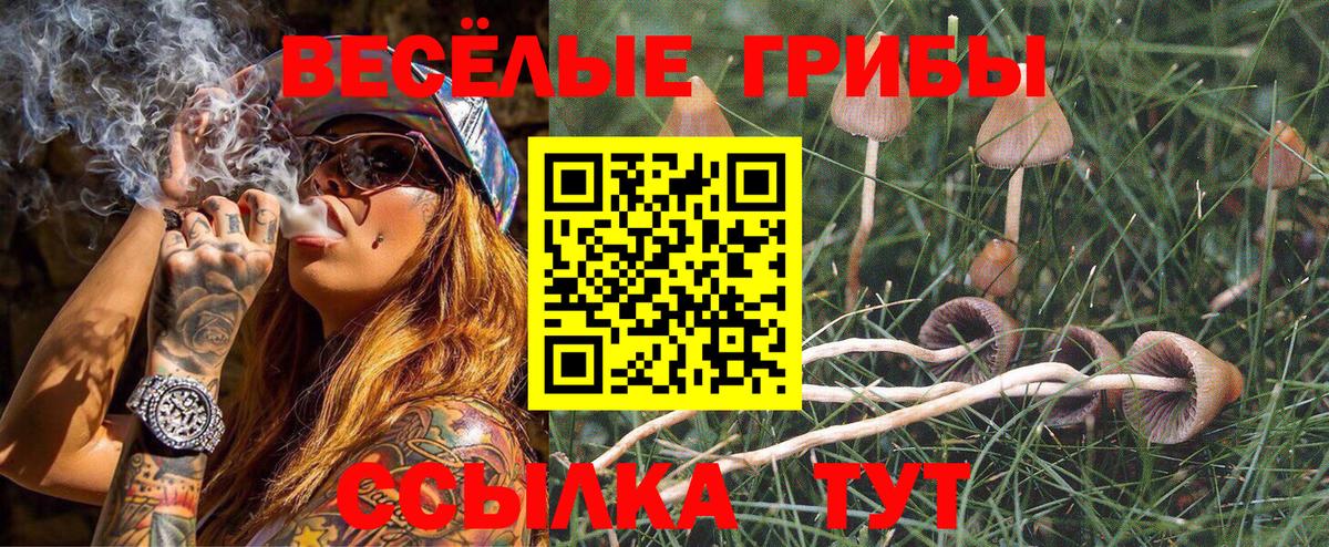 Псилоцибиновые грибы Cubensis  Галлюциногенные грибы Cubensis  Вход с VPN  Искитим 